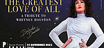 Belinda Davids à la Salle Pleyel le 17/11/2023 pour son Tribute to Whitney Houston