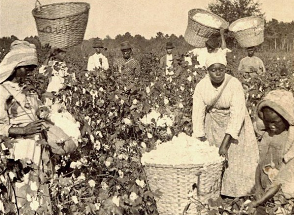 slaverycotton