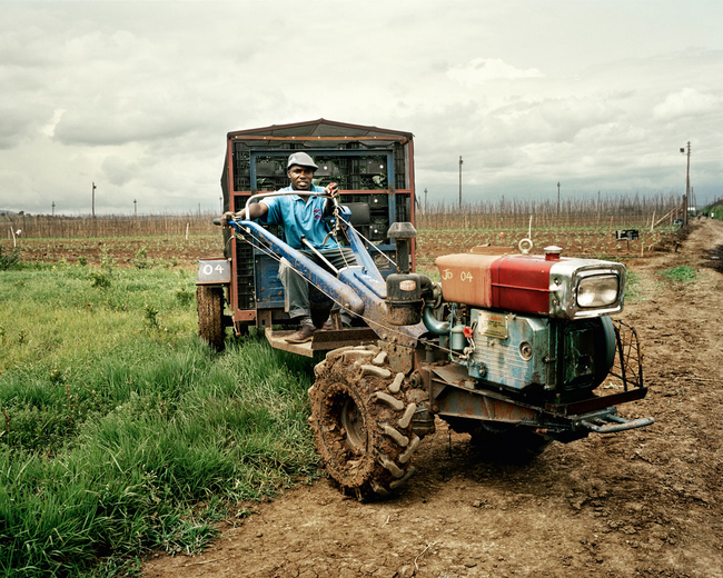 tracteur-agriculture-afrique