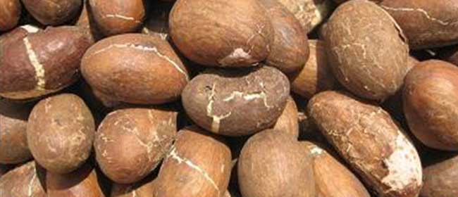 Les bienfaits du ''petit cola''  BlackFeelings.com