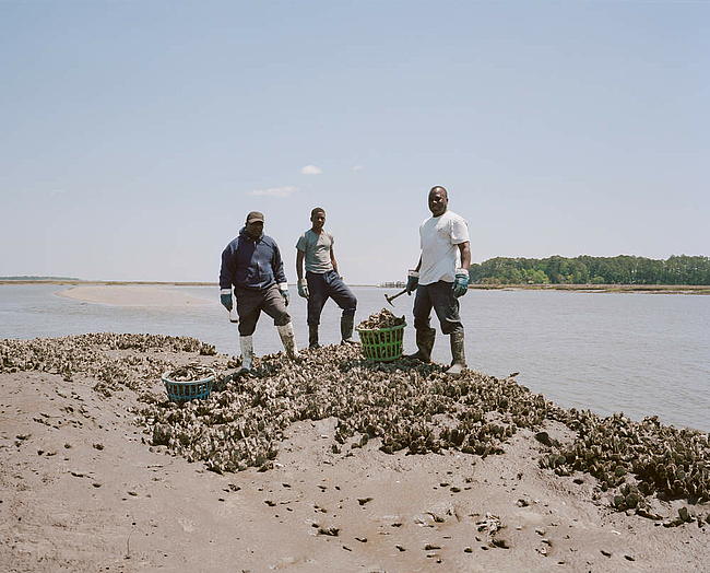 Sur l'île Saint Helena, une cinquantaine de Gullah vivent encore des produits de la mer