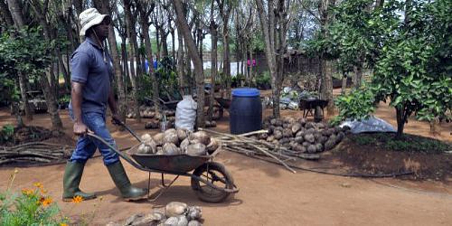 Dans ferme Songha&iuml;