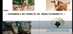 Conte Lingala_français: KOTAMBOLA BO NTABA TE/La chèvre, le boa et l'antilope