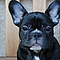 florian_75