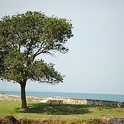 jean-pierre